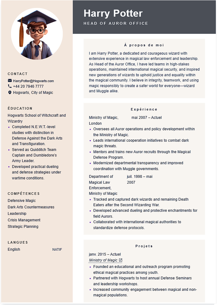 Charcoal Beige CV template - Professional resume design