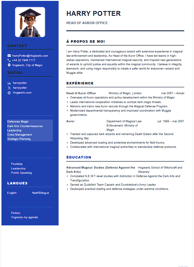 CV Ingénieur CV template - Professional resume design