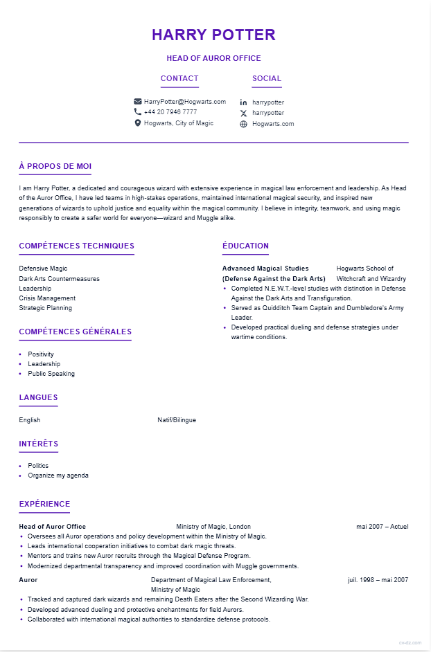 Sans Expérience CV template - Professional resume design