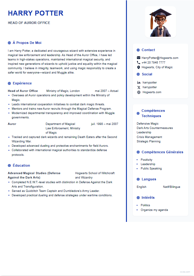 CV Infirmier CV template - Professional resume design